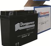 12N7L-BS (12 V 7 AH) SMF BATTERY